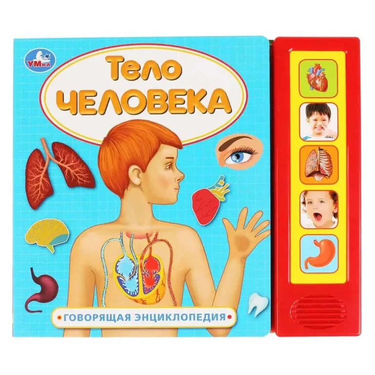 Тело человека говорящая энциклопедия