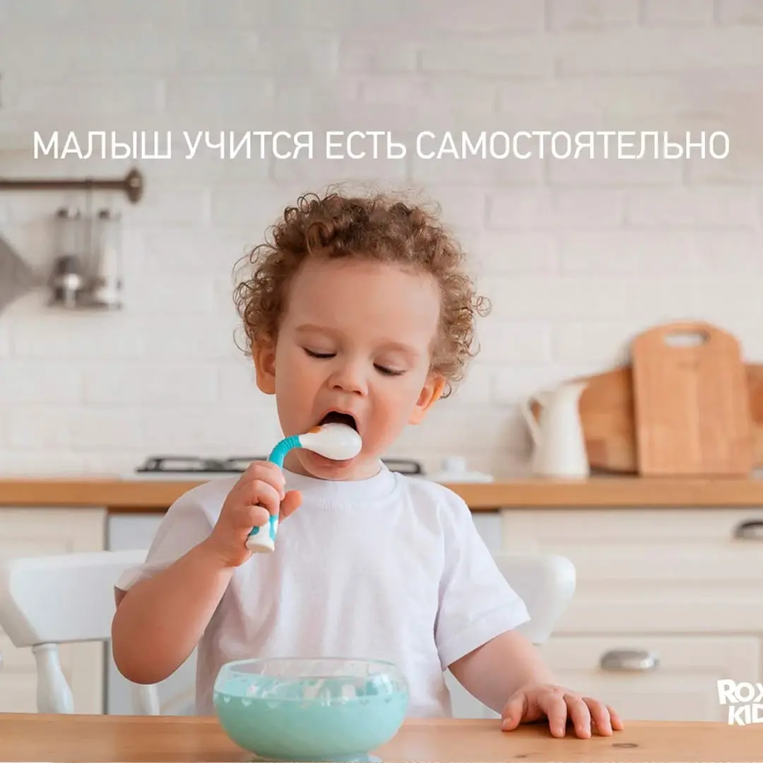 Набор ложка+вилка ROXY-KIDS Flexible гибкие в защитном футляре 9+ мес